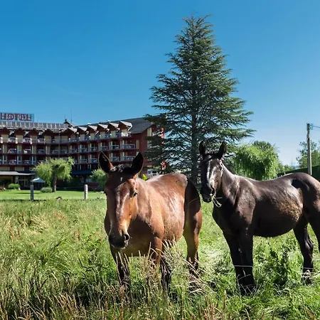Hotel Park